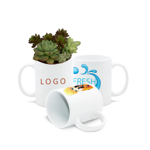 Personalised Gifts | Coffee Mug With Succulents